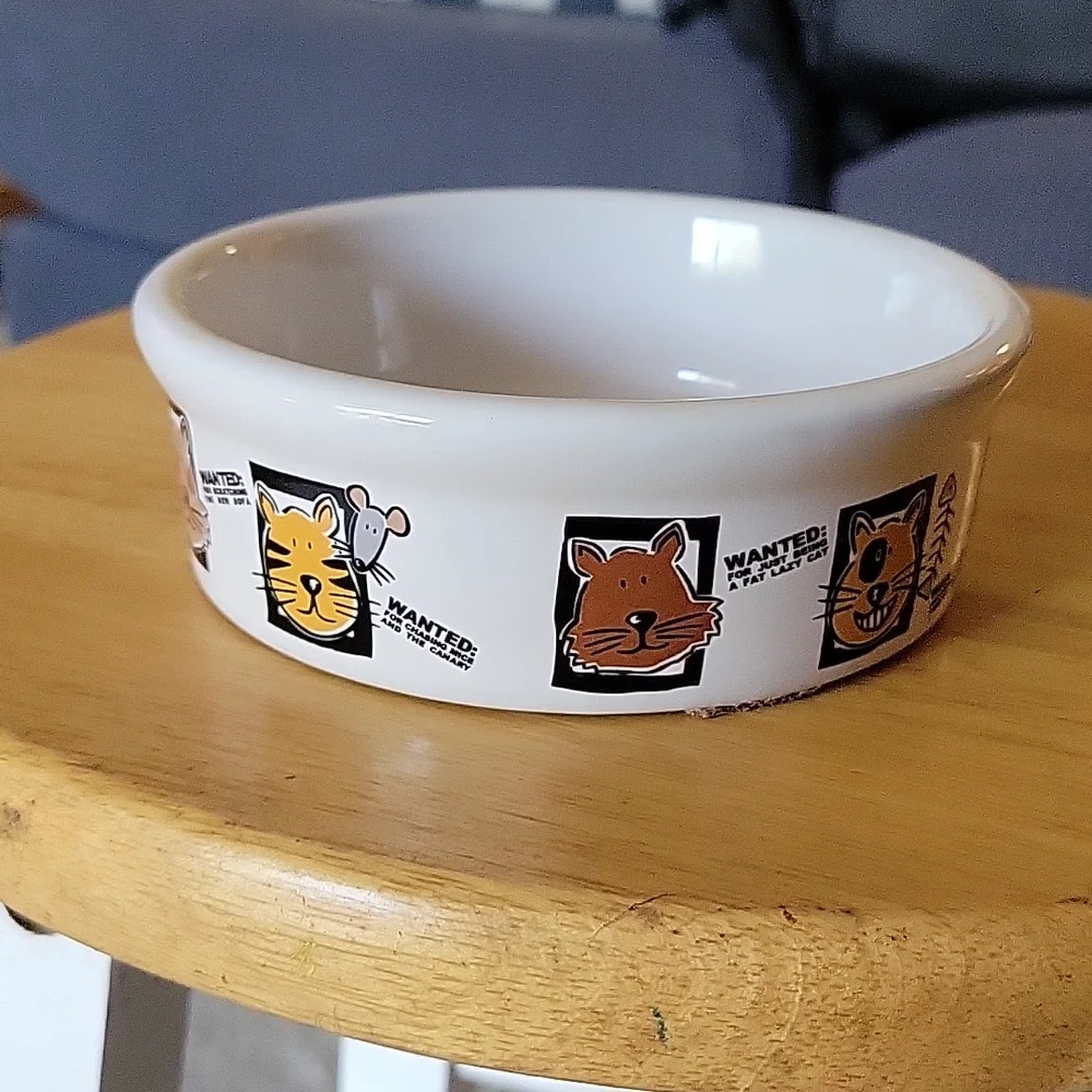 Food dish for cat